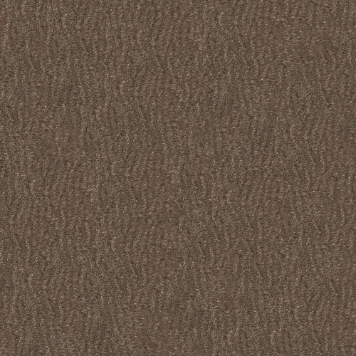 PLT120 ゼニスグレー