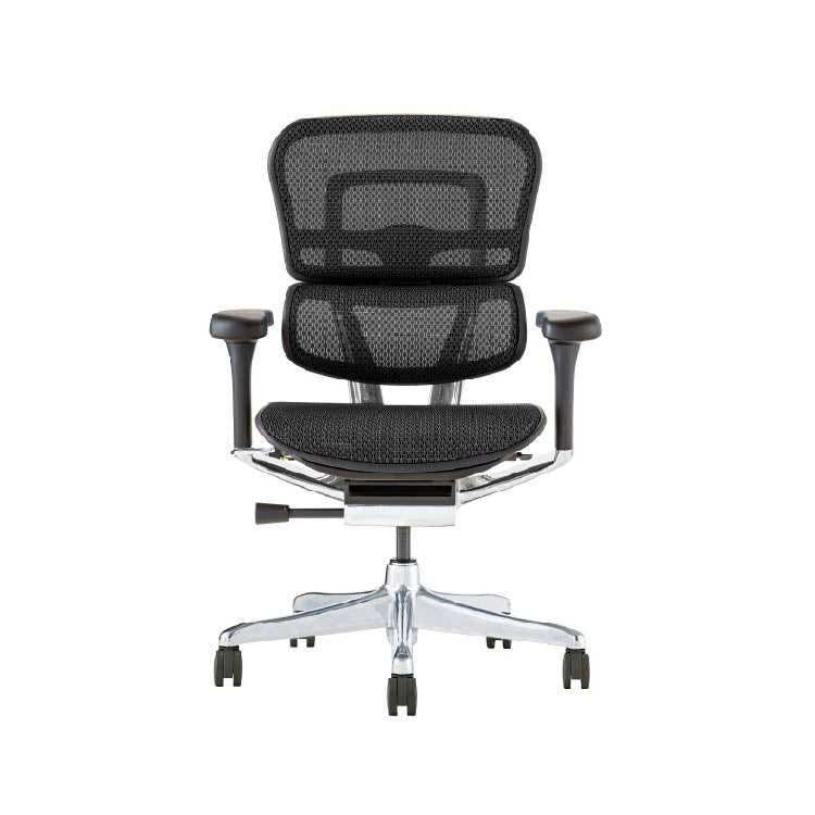 【REFURBISHED】エルゴヒューマン プロⅡ ロータイプ ウレタンキャスター